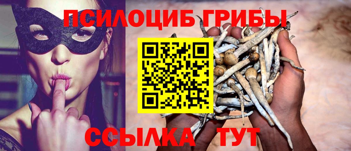 Псилоцибиновые грибы прущие грибы  Вход с VPN  как найти закладки  Галлюциногенные грибы Psilocybe  Ишимбай 